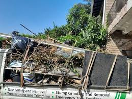 Best Estate Cleanout  in Geneva, FL